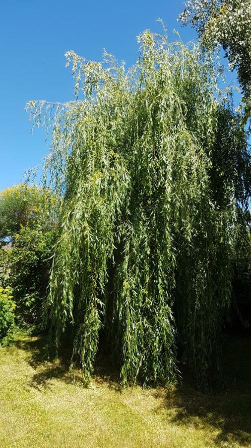 Liz'A Logis De Charme Villa Saint-Come-de-Fresne Exterior photo